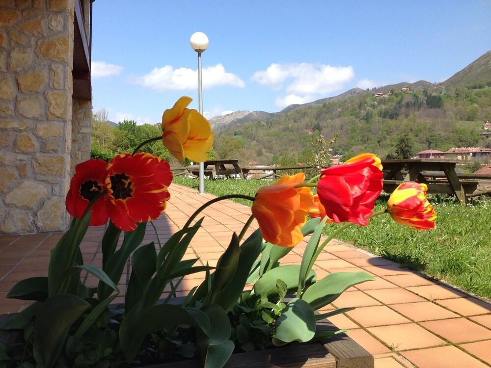 Apartamentos Aldea Del Puente Cangas de Onís Exterior foto